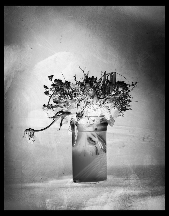 DEEDS WORLD - Walter Schels - Blumen_2009