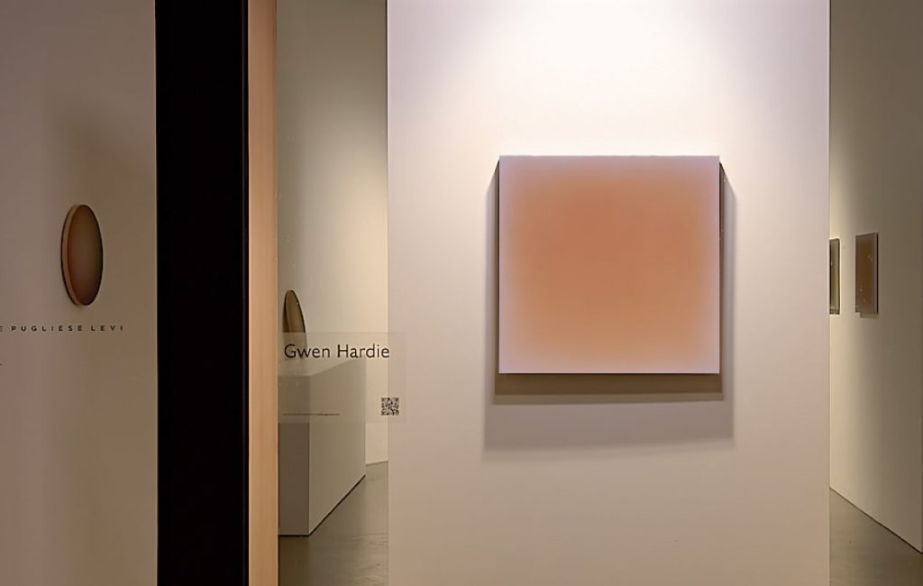 DEEDS WORLD - Artist Interview Gwen Hardie - 8a - 10.02.19 Galerie Pugliese Levi